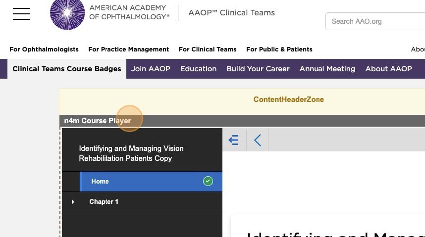 31-AAO Learning Badges Training.jpg 31-AAO Learning Badges Training