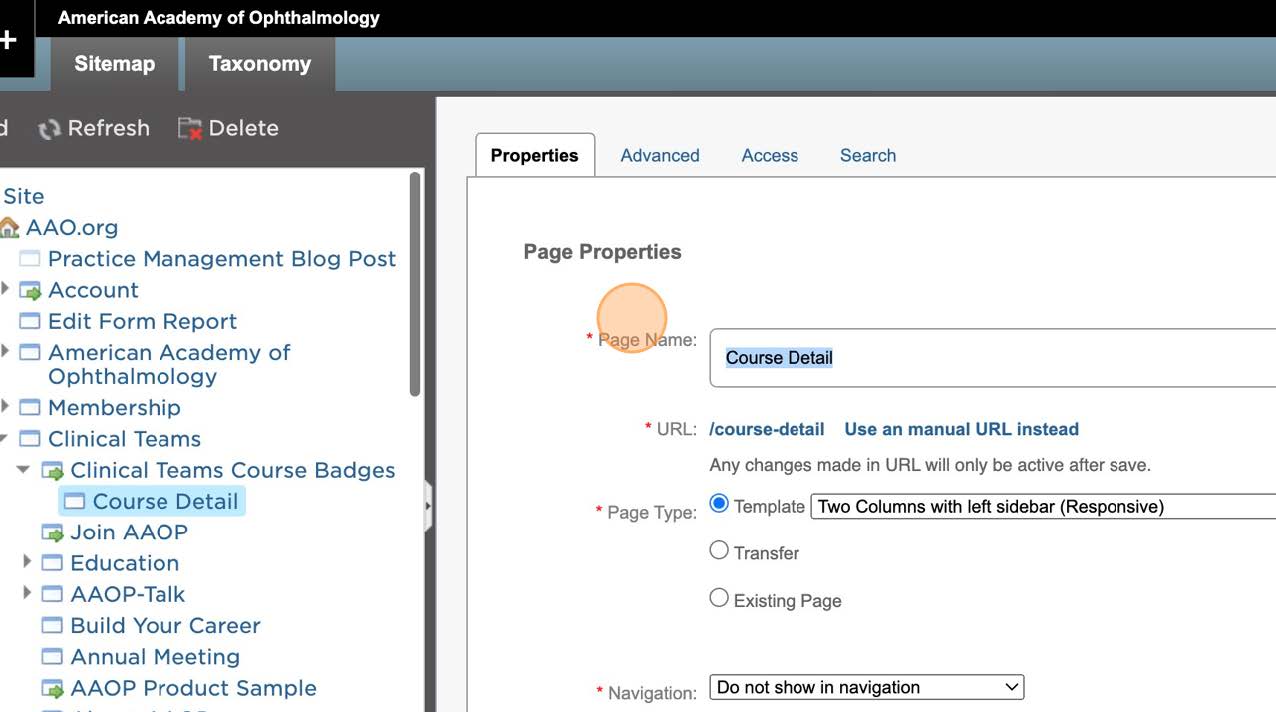 21-AAO Learning Badges Training.jpg 21-AAO Learning Badges Training