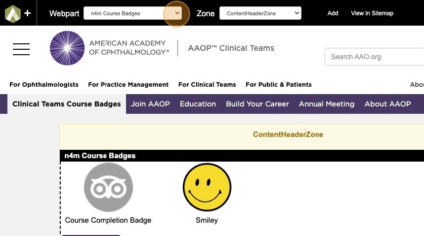 28-AAO Learning Badges Training.jpg 28-AAO Learning Badges Training