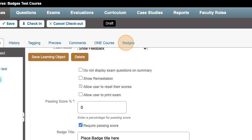 7-AAO Learning Badges Training.jpg 7-AAO Learning Badges Training