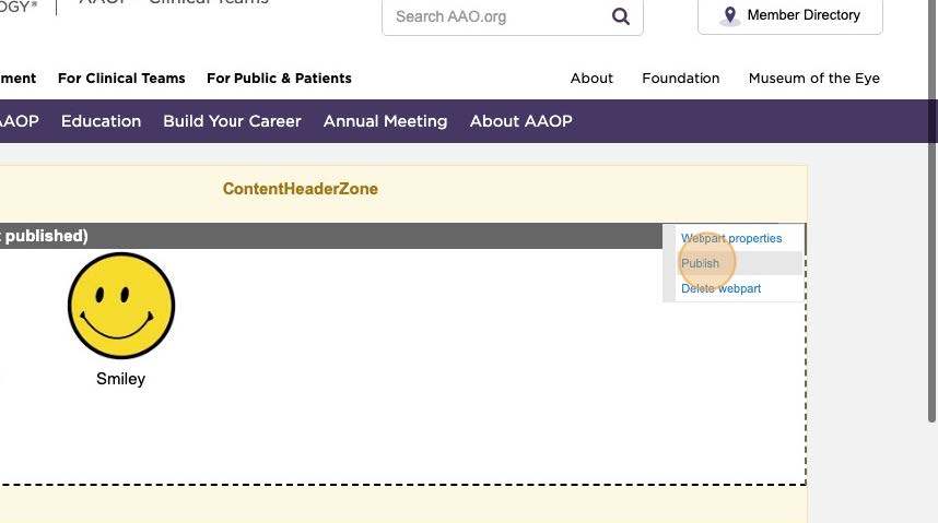 30-AAO Learning Badges Training.jpg 30-AAO Learning Badges Training