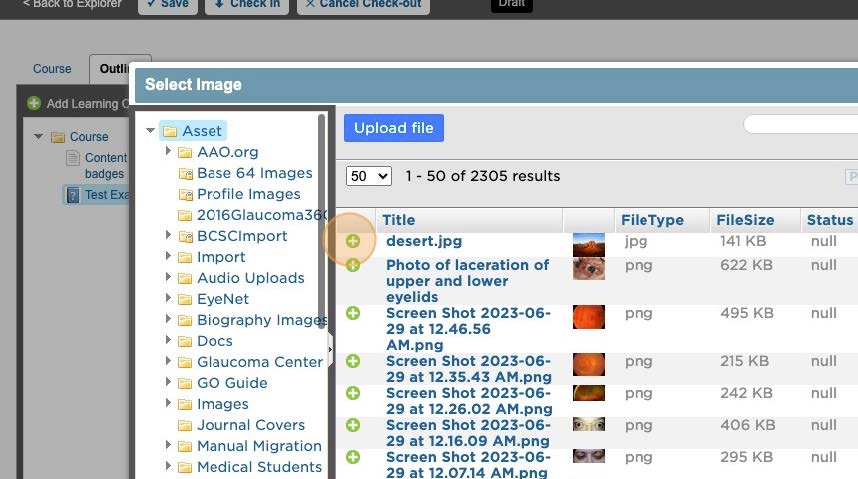 3-AAO Learning Badges Training.jpg 3-AAO Learning Badges Training