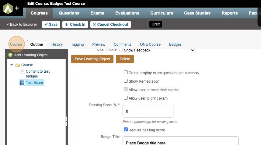 9-AAO Learning Badges Training.jpg 9-AAO Learning Badges Training