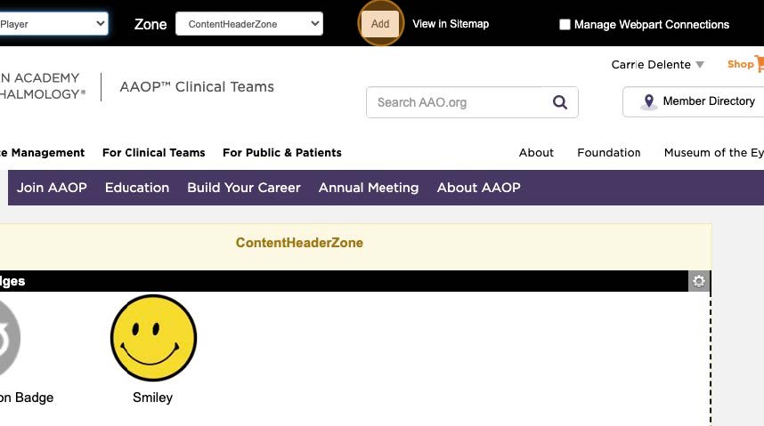 29-AAO Learning Badges Training.jpg 29-AAO Learning Badges Training