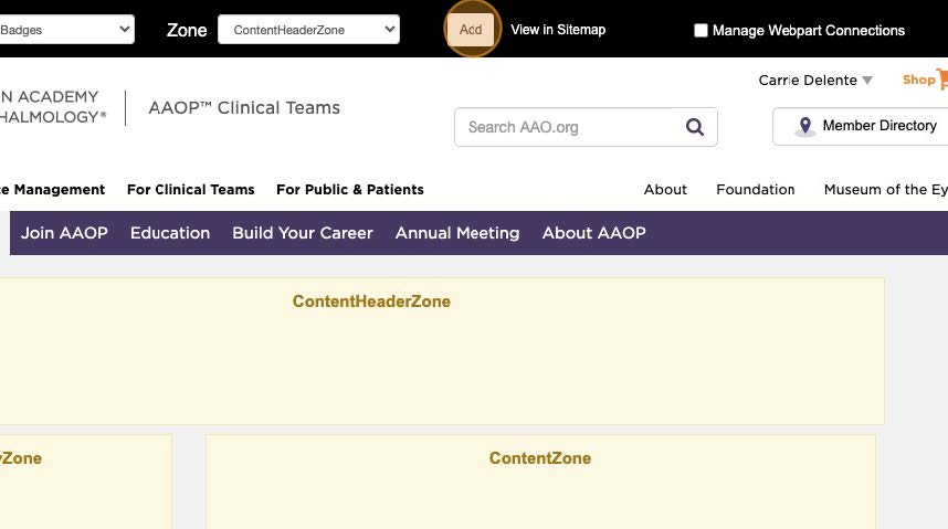 27-AAO Learning Badges Training.jpg 27-AAO Learning Badges Training