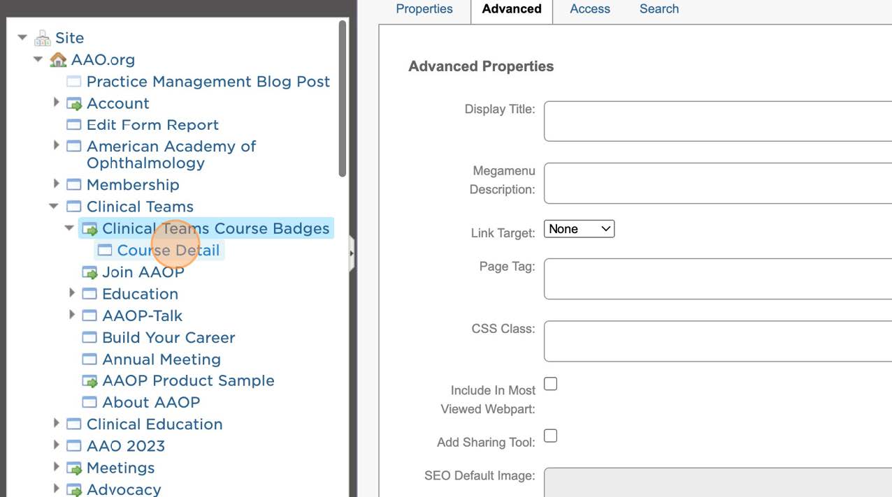 20-AAO Learning Badges Training.jpg 20-AAO Learning Badges Training