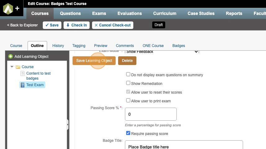 6-AAO Learning Badges Training.jpg 6-AAO Learning Badges Training