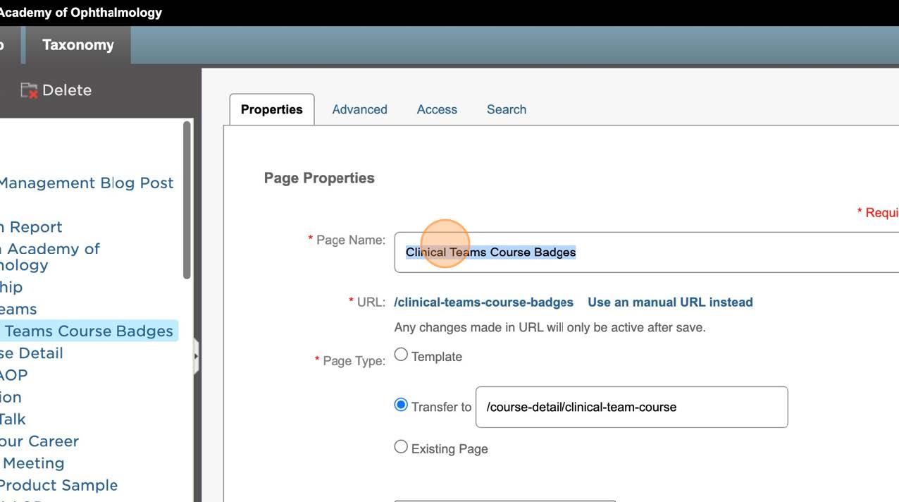 18-AAO Learning Badges Training.jpg 18-AAO Learning Badges Training
